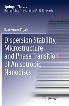 Dispersion Stability, Microstructure and Phase Transition of Anisotropic Nanodiscs