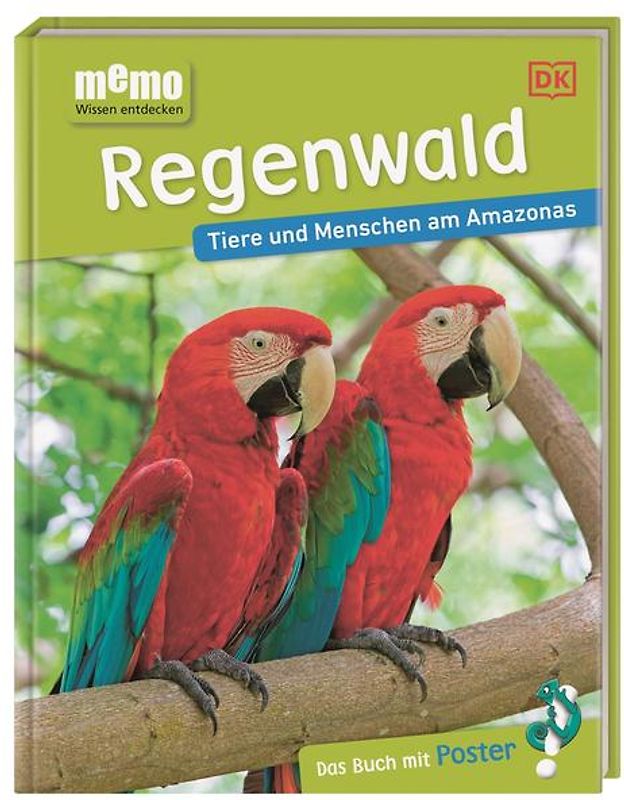 memo Wissen entdecken. Regenwald