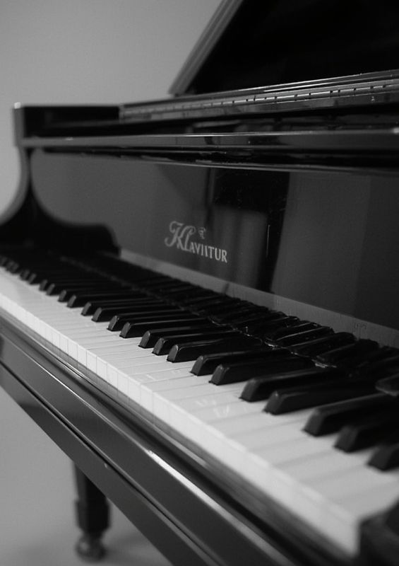 Music Booklet: DIN A4 Staff Book | 60 Pages with 12 Staves / Systems per Sheet | Paper 90g/m²