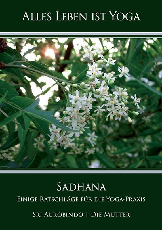 Sadhana – Einige Ratschläge für die Yoga-Praxis