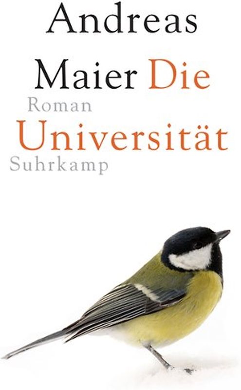 Die Universität