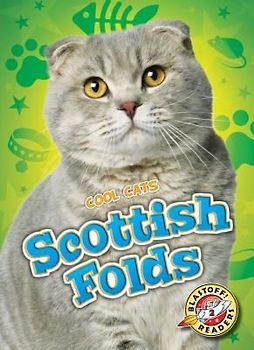 Scottish Folds