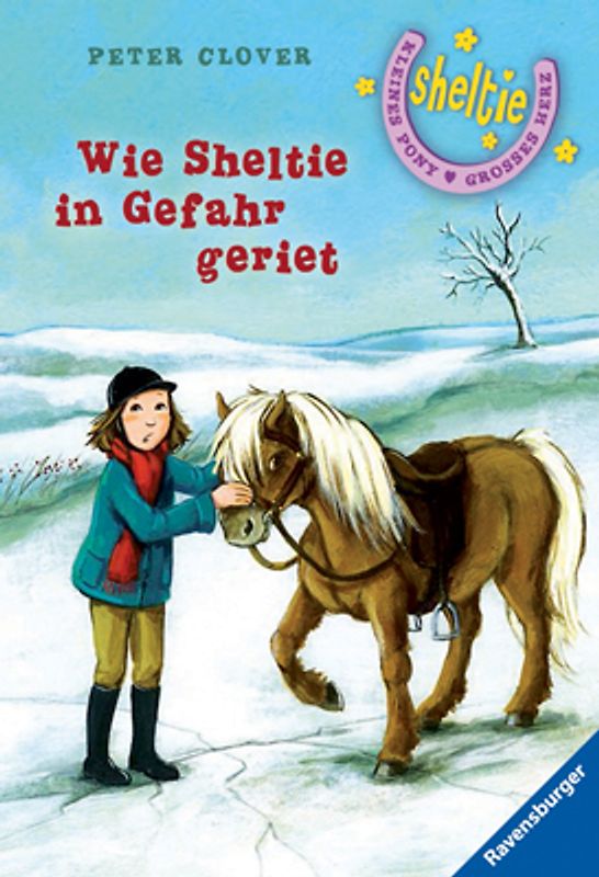 Wie Sheltie in Gefahr geriet