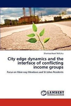 City edge dynamics and the interface of conflicting income groups
