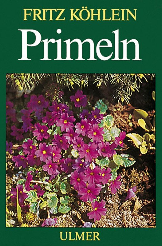 Primeln