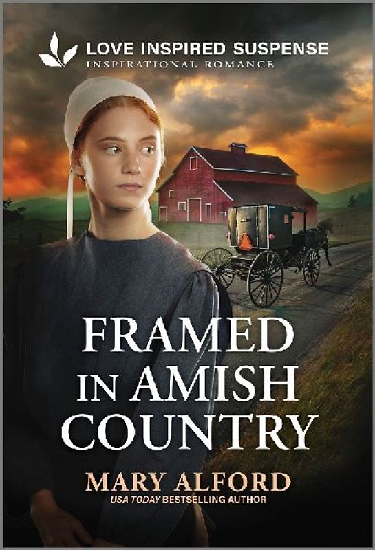 Framed in Amish Country