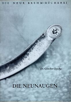 Die Neunaugen