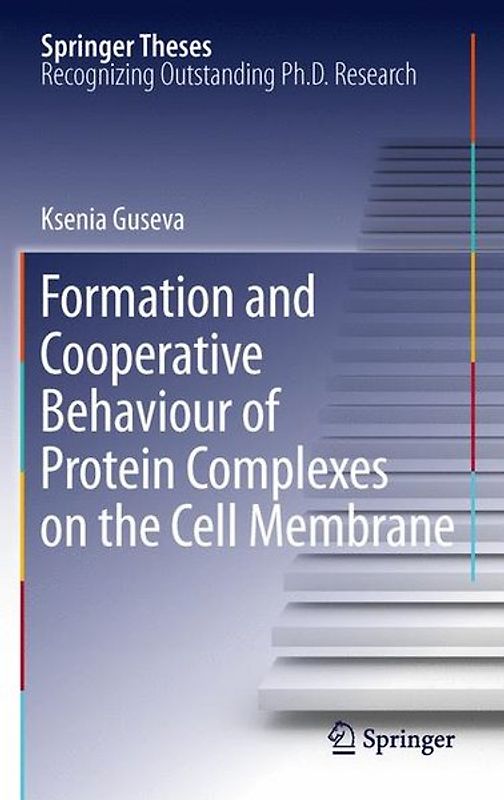 Formation and Cooperative Behaviour of Protein Complexes on the Cell Membrane