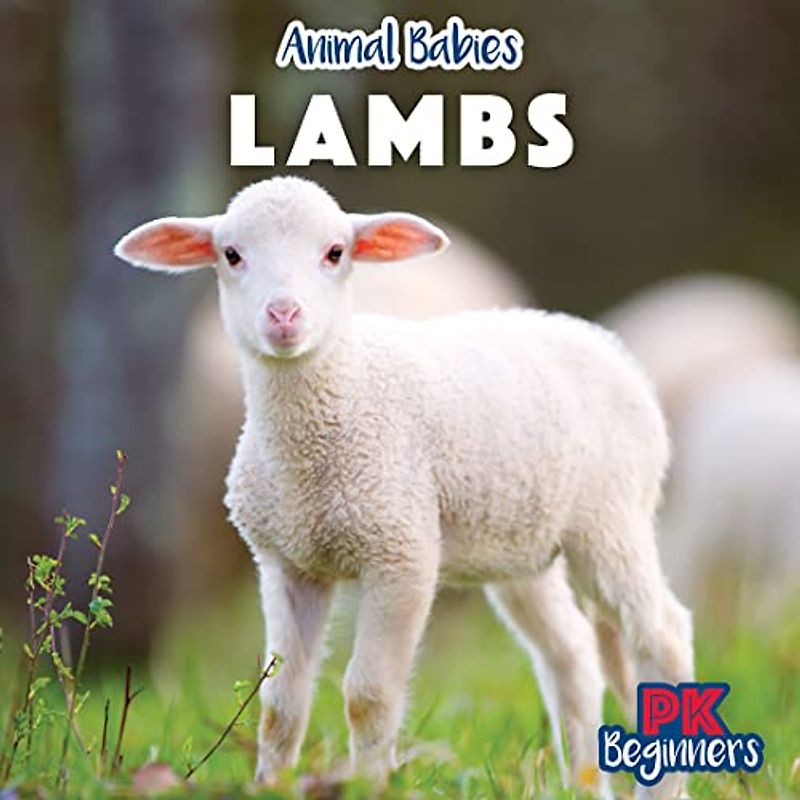 Lambs (Animal Babies)