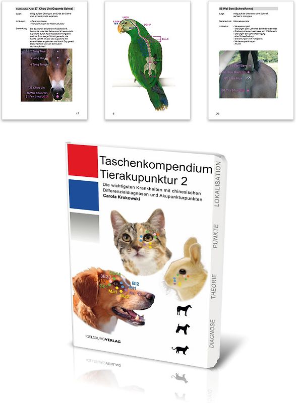 Taschenkompendium Tierakupunktur 2