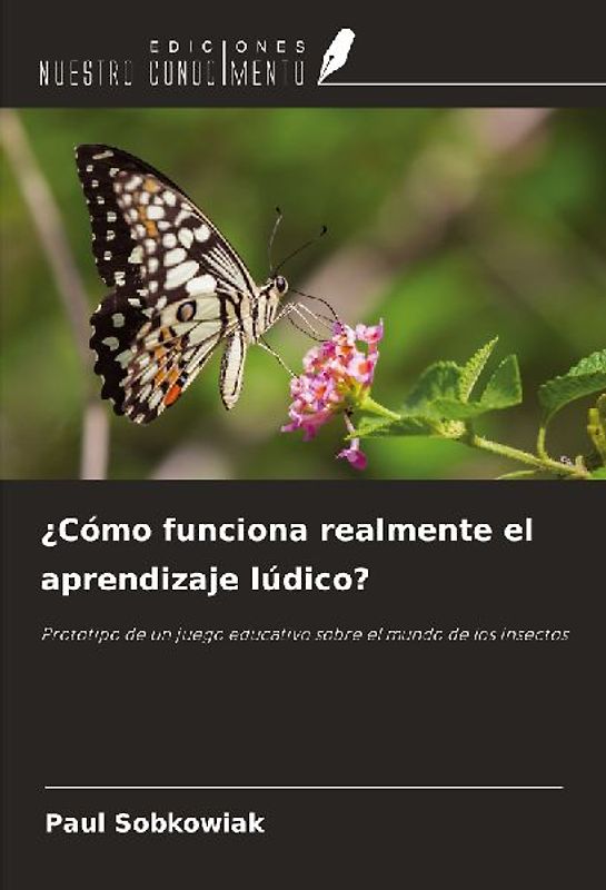 ¿Cómo funciona realmente el aprendizaje lúdico?