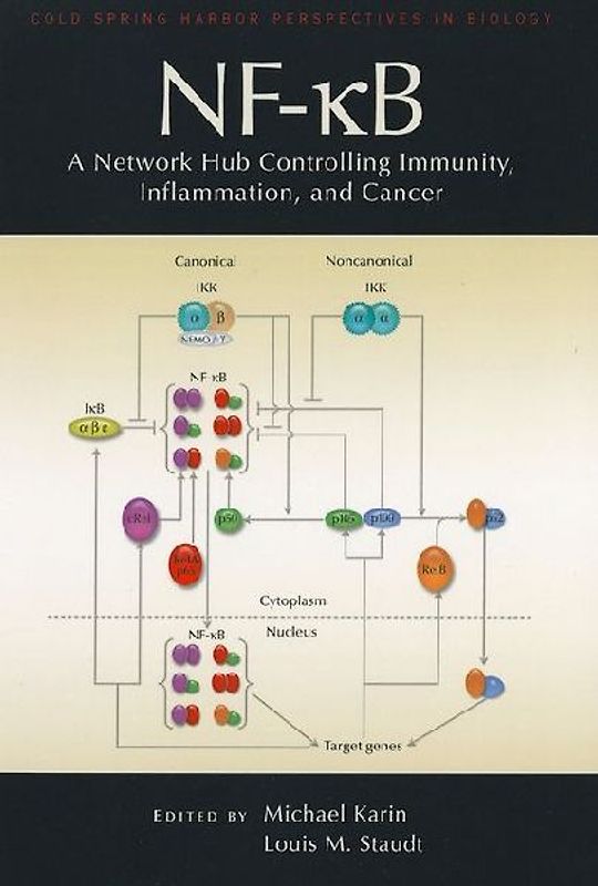 Nf-κb: A Network Hub Controlling Immunity, Inflammation, and Cancer