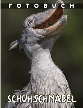 Schuhschnabel Fotobuch: Stand-and-Wait-Jäger-Bilderbuch zum Dekorieren von Zimmer, Zuhause, Büro | 40 Bilder für Kinder, Kinder oder Verliebte | Geburtstag | Jeder Anlass | Zum Stressabbau