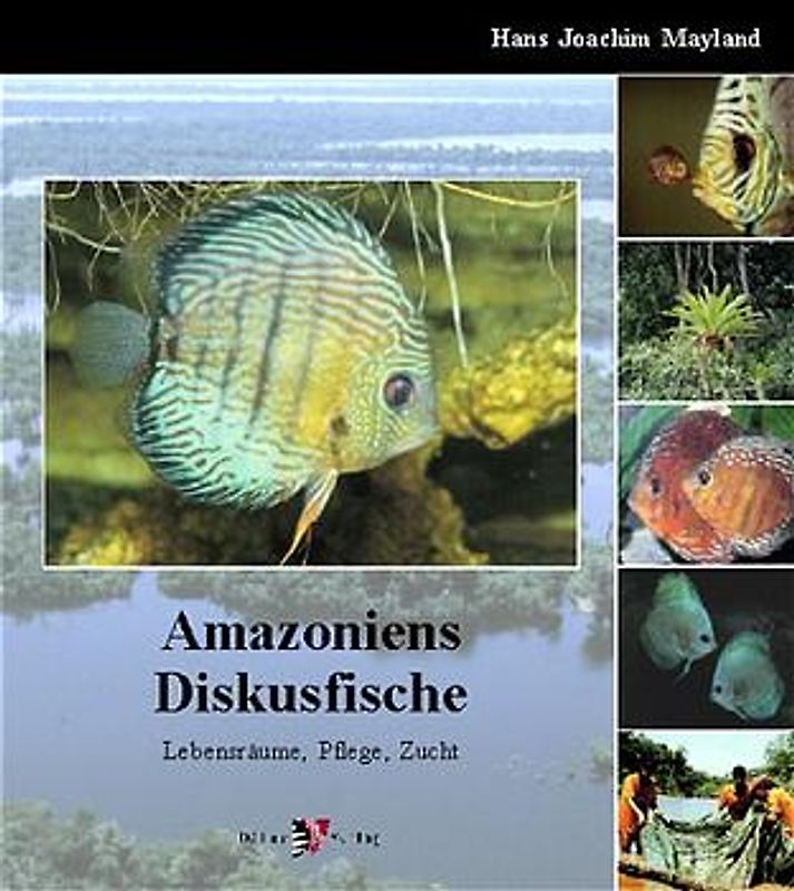 Amazoniens Diskusfische