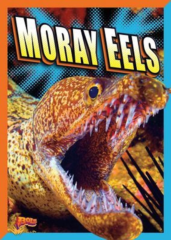 Moray Eels