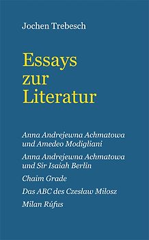 Essays zur Literatur
