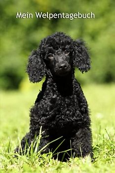 Mein Welpentagebuch: die ersten Monate mit meinem Pudel - für Welpenbesitzer - für Hundezüchter als Geschenk für die Welpenkäufer beim Auszug der Welpen