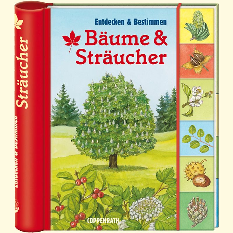 Bäume & Sträucher