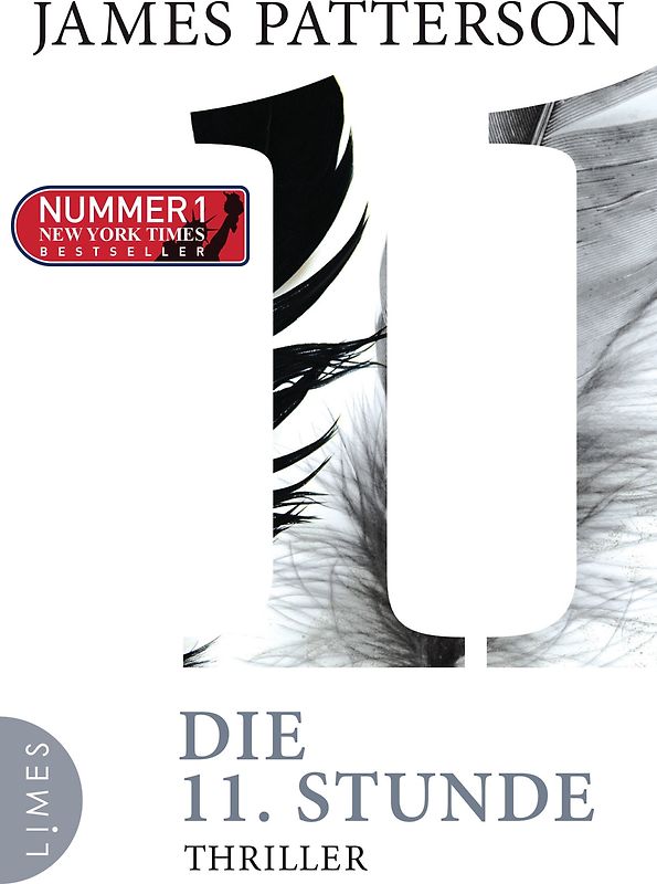 Die 11. Stunde. Thriller