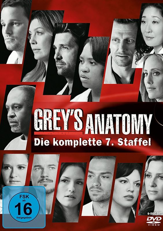 Grey's Anatomy - Staffel 7 [6 DVDs] DVD