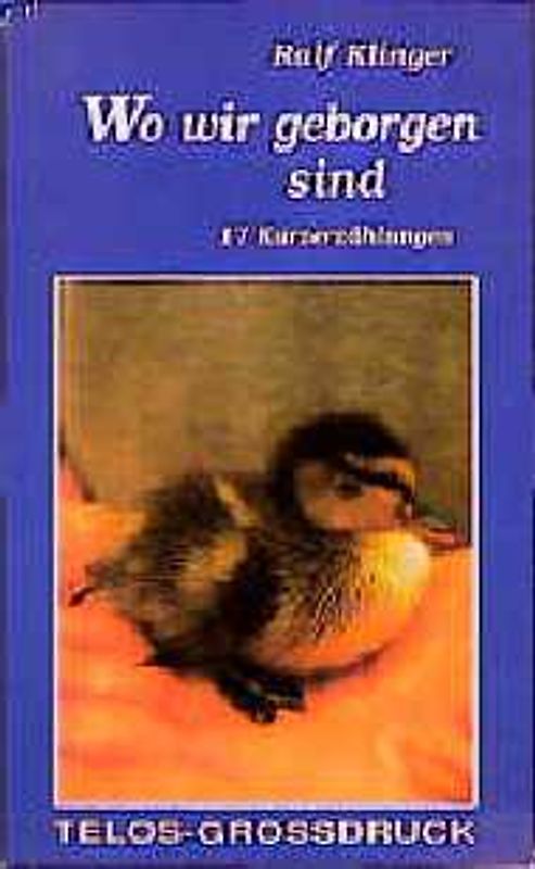 Wo wir geborgen sind. 17 Kurzerzählungen