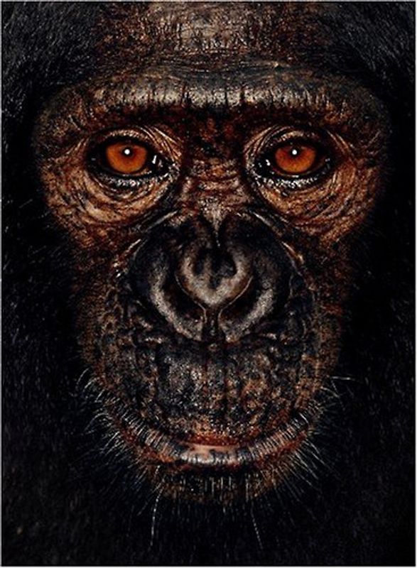 James und andere Affen