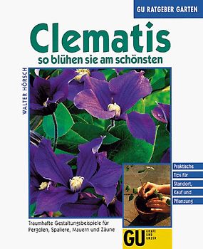Clematis so blühen sie am schönsten