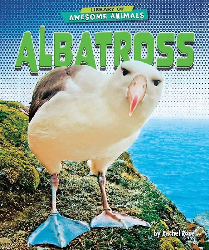 Albatross