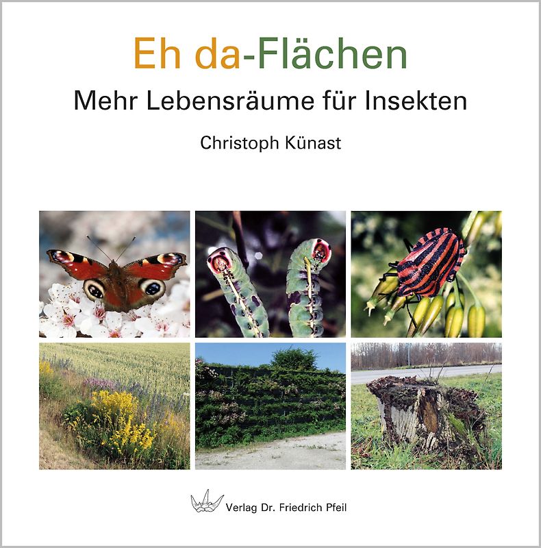 Eh da-Flächen