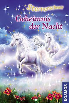 Geheimnis der Nacht