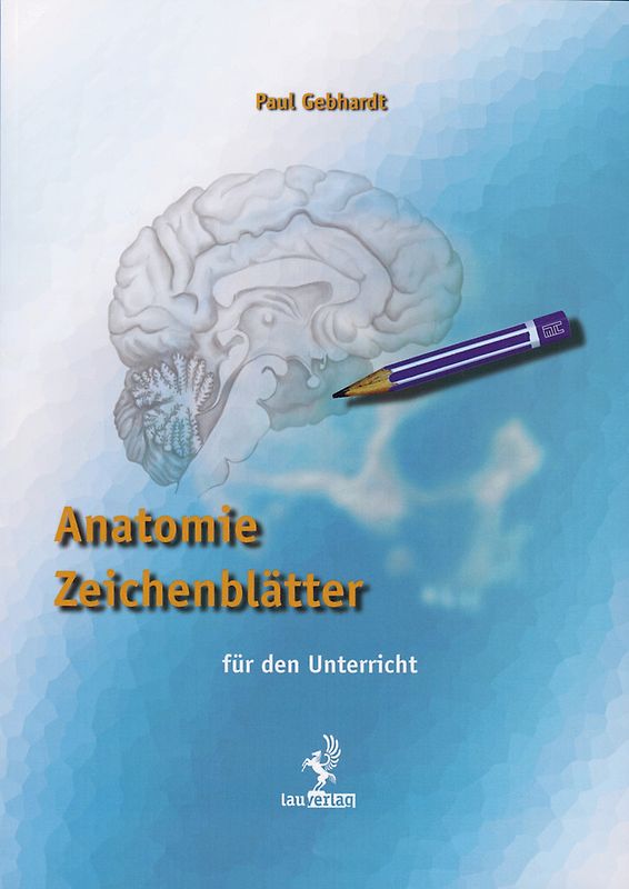 Anatomie Zeichenblätter Arbeitsheft