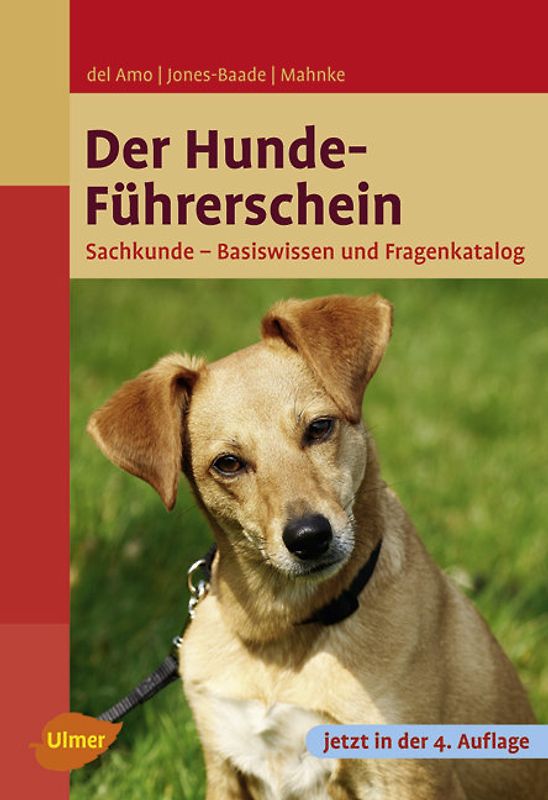 Der Hundeführerschein