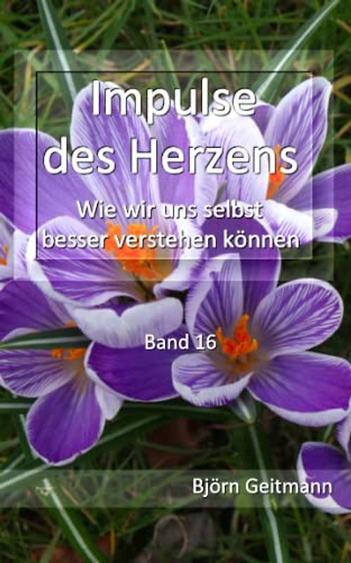Impulse des Herzens: Wie wir uns selbst besser verstehen können (Band 16)