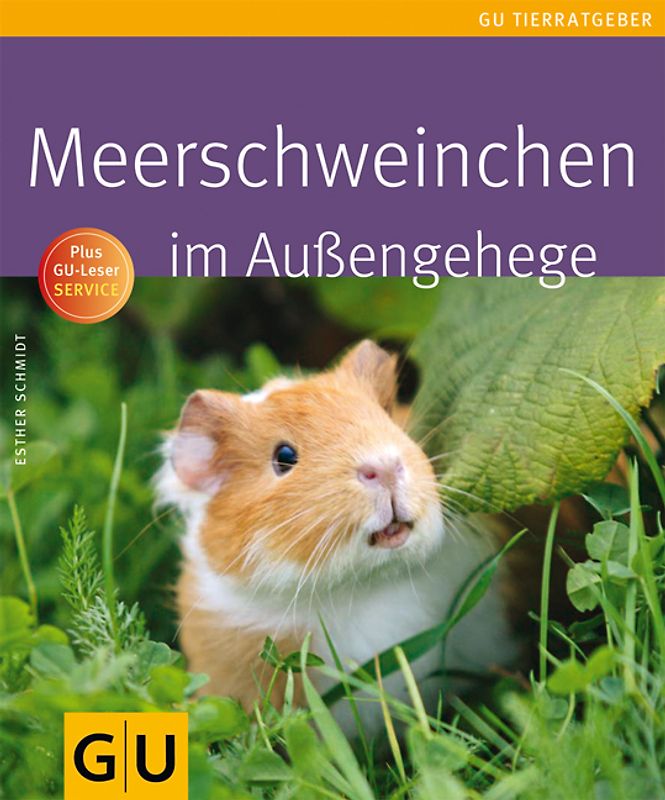 Meerschweinchen im Außengehege