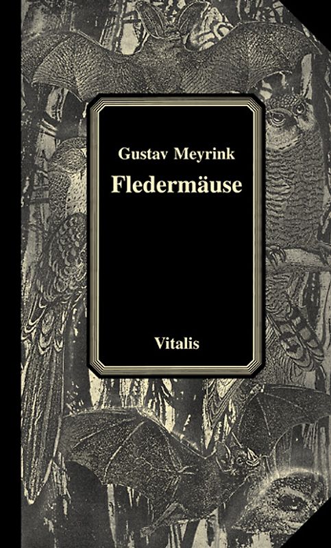 Fledermäuse