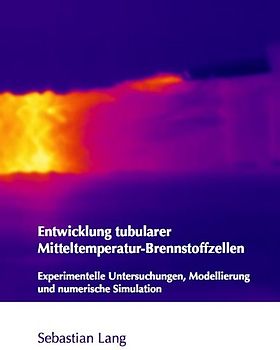 Entwicklung tubularer Mitteltemperatur-Brennstoffzellen - Experimentelle Untersuchungen, Modellierung und numerische Simulation