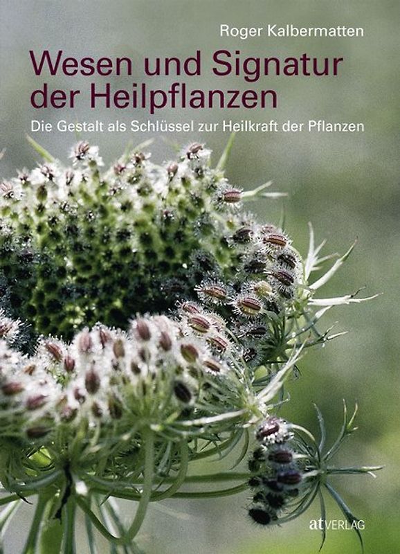 Wesen und Signatur der Heilpflanzen
