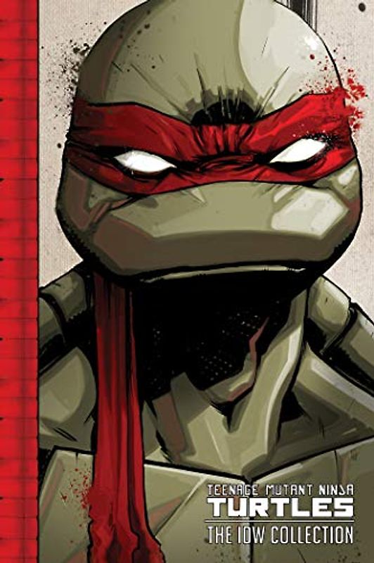 Teenage Mutant Ninja Turtles: The IDW Collection Volume 1 (TMNT IDW Collection, Band 1)