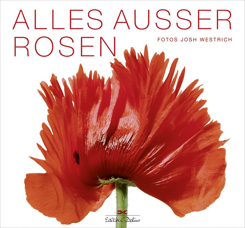 Alles außer Rosen