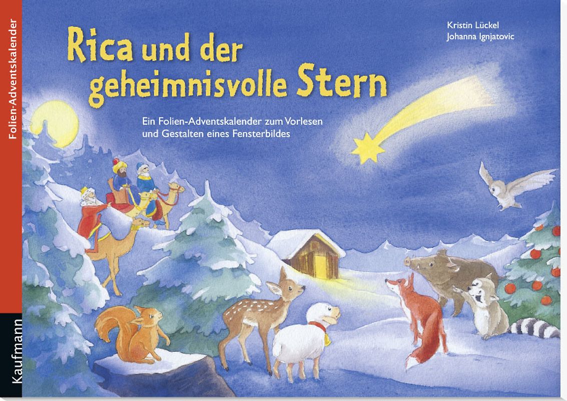 Rica und der geheimnisvolle Stern