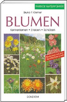 Blumen