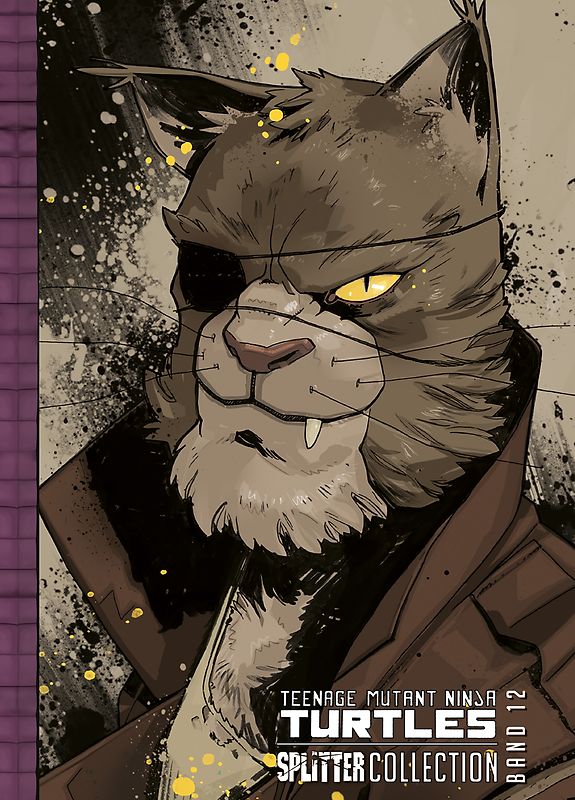 Teenage Mutant Ninja Turtles Splitter Collection 12