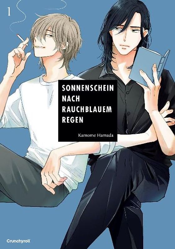 Sonnenschein nach rauchblauem Regen – Band 1