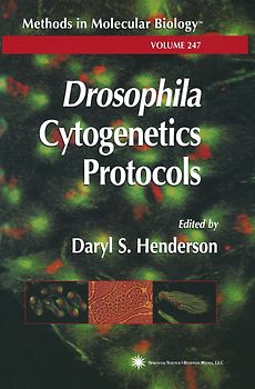 Drosophila Cytogenetics Protocols