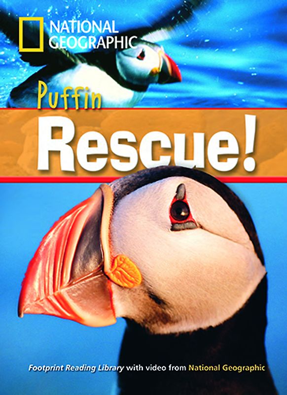 Puffin Rescue