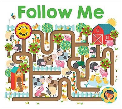 Follow Me: Maze Book (Finger Mazes)