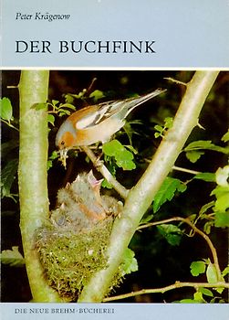 Der Buchfink