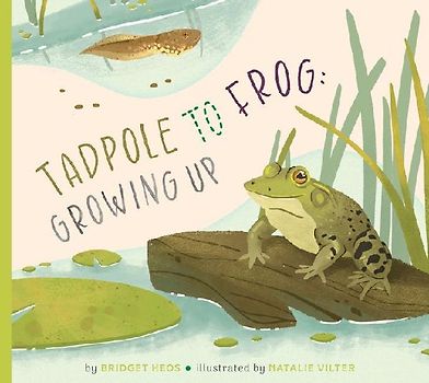 Tadpole to Frog: Growing Up