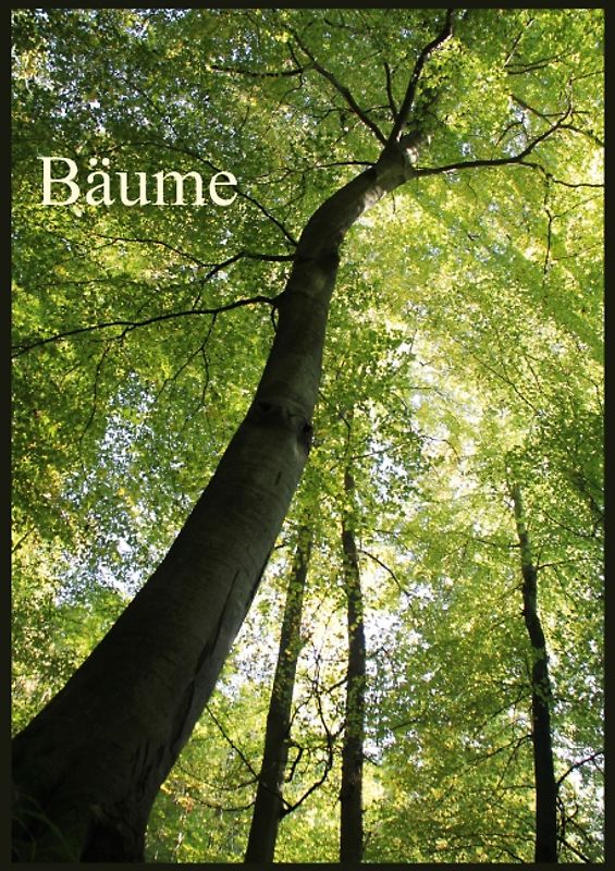 Bäume (Posterbuch DIN A3 hoch)