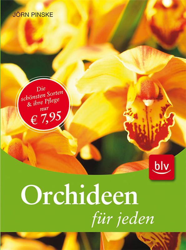 Orchideen für jeden